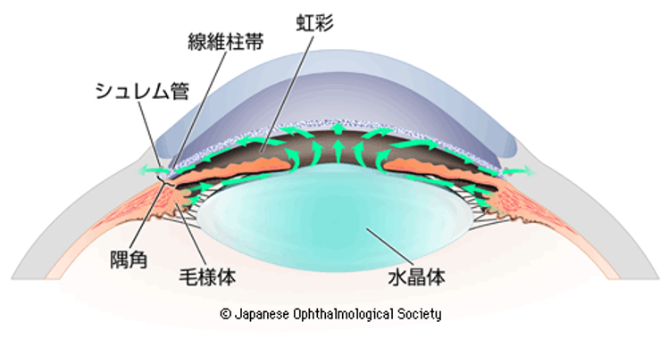 眼圧とは